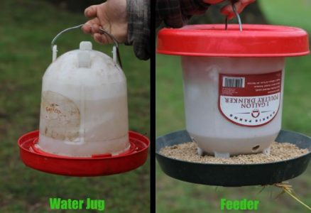 How To Turn a Busted Chicken Drinker into a Busy Chicken Feeder Image